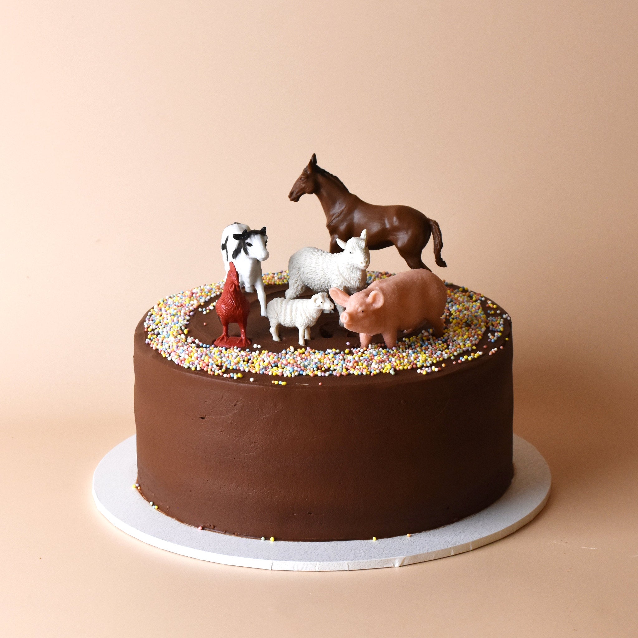 Vanilla bean & chocolate cake