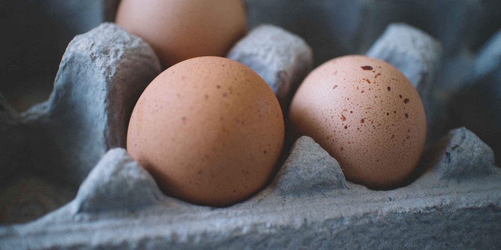 Certifies organic, pasture-raised free range eggs